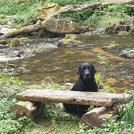 Dom wakacyjny Le Domaine Du Bien-etre